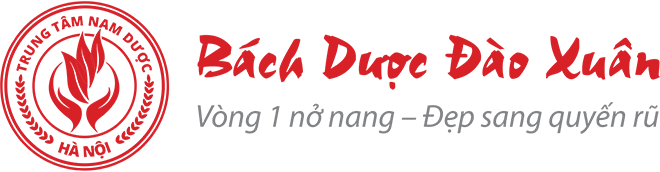 bachduoc2011